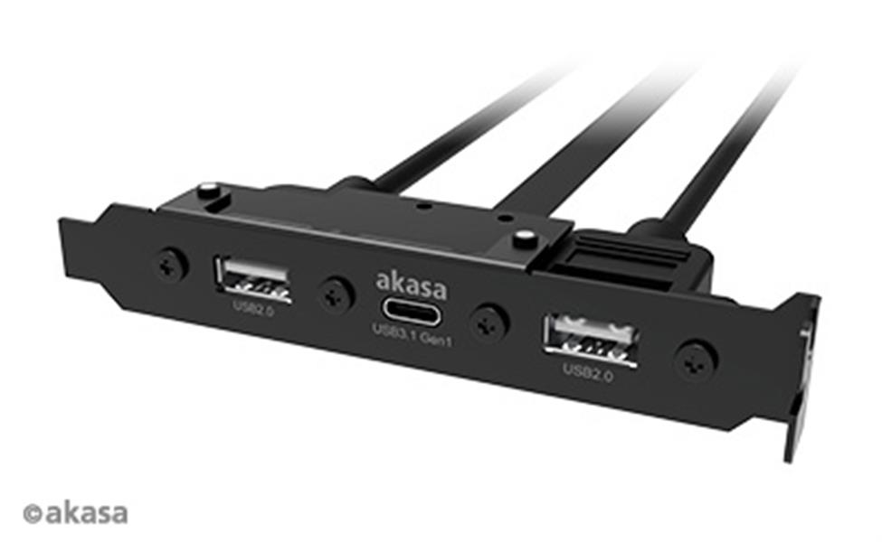 Akasa Type-C USB3 1 Gen1 internal adapter cable Type-A USB2 0 ports *USBCF *USBAF *MBF