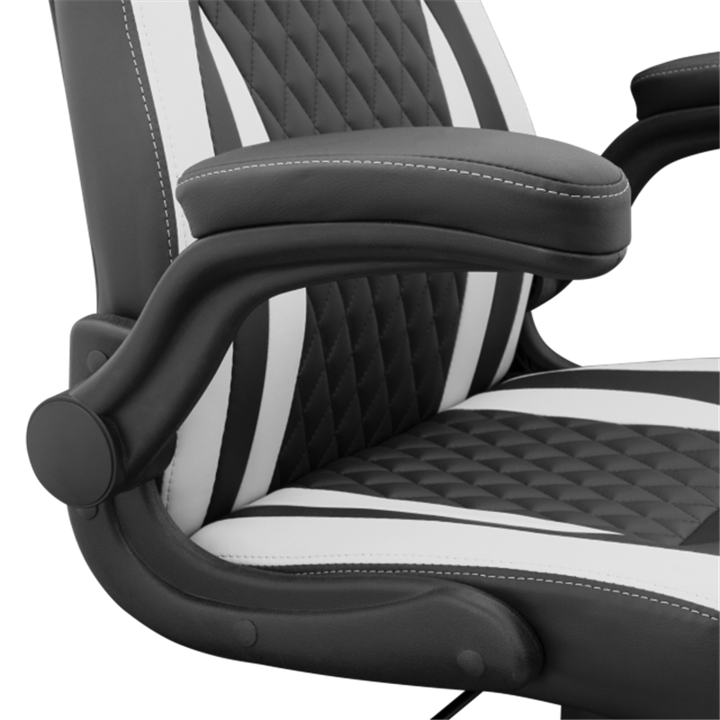 White Shark GAMING CHAIR DERVISH Black/White