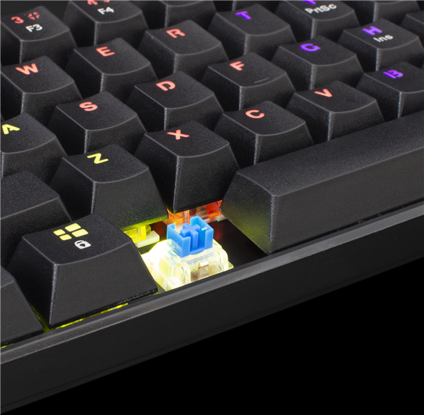 White Shark SHINOBI GK-2022 TKL Gaming toetsenbord met LED verlichting en Outemu blauwe mechanische switches US Layout - Zwart