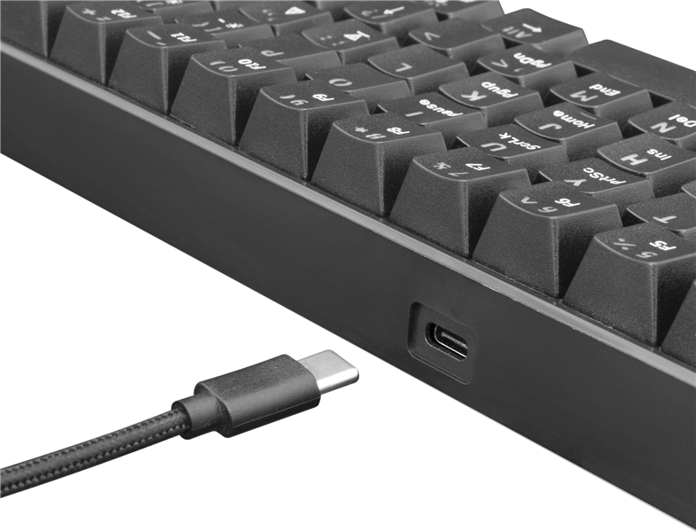 White Shark SHINOBI GK-2022 TKL Gaming toetsenbord met LED verlichting en Outemu Rode mechanische switches US Layout - Zwart