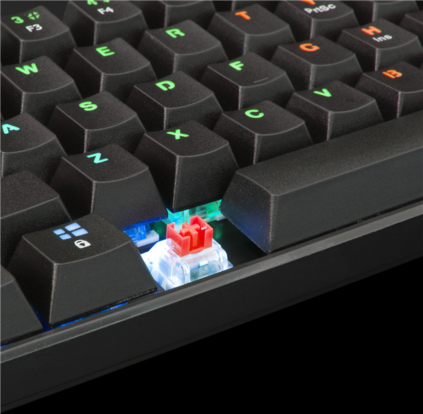 White Shark SHINOBI GK-2022 TKL Gaming toetsenbord met LED verlichting en Outemu Rode mechanische switches US Layout - Zwart