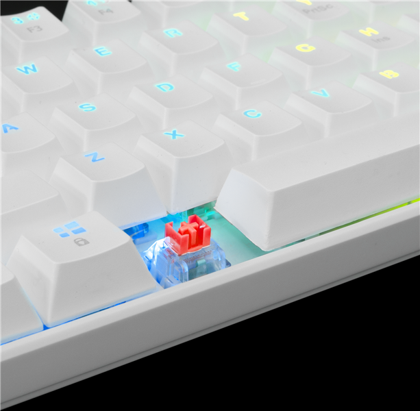 White Shark SHINOBI GK-2022 TKL Gaming toetsenbord met LED verlichting en Outemu Rode mechanische switches US Layout - Wit