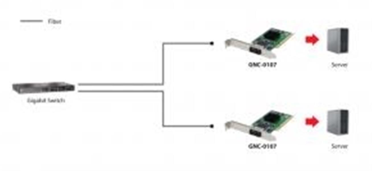 LevelOne GNC-0107 netwerkkaart Intern Fiber 2000 Mbit/s