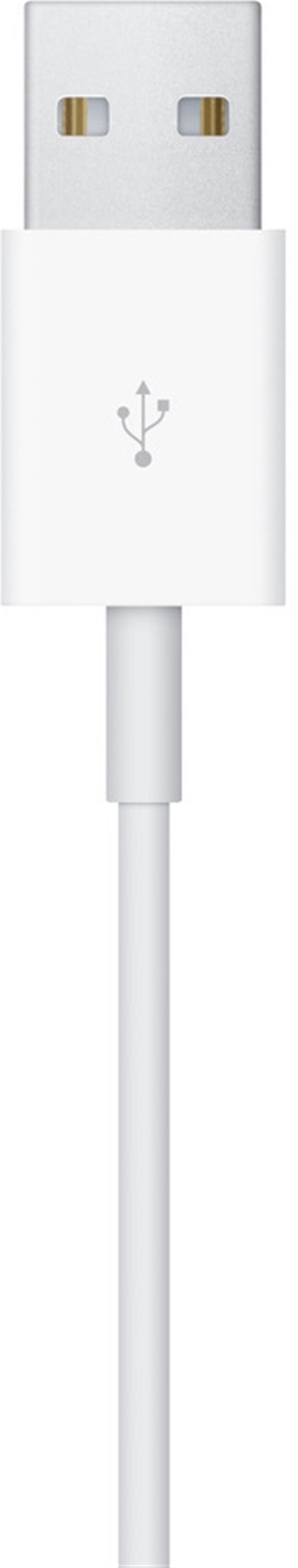 Apple Watch Magnetic Charger 