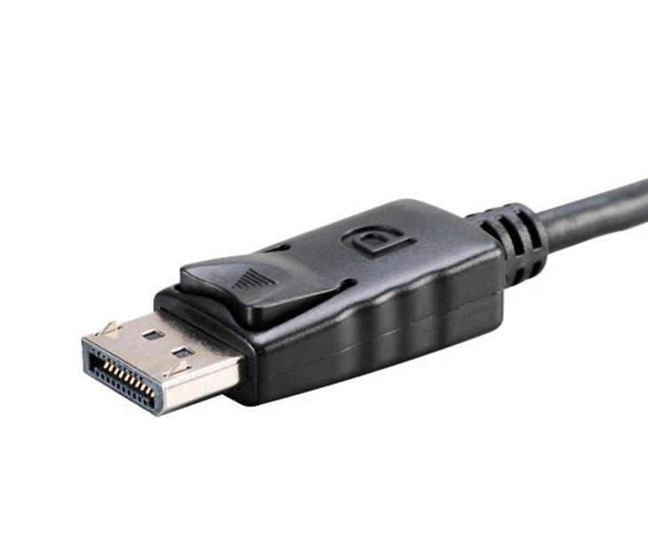 Akasa DisplayPort to DVI Passive Converter 20cm *DPM *DVIF