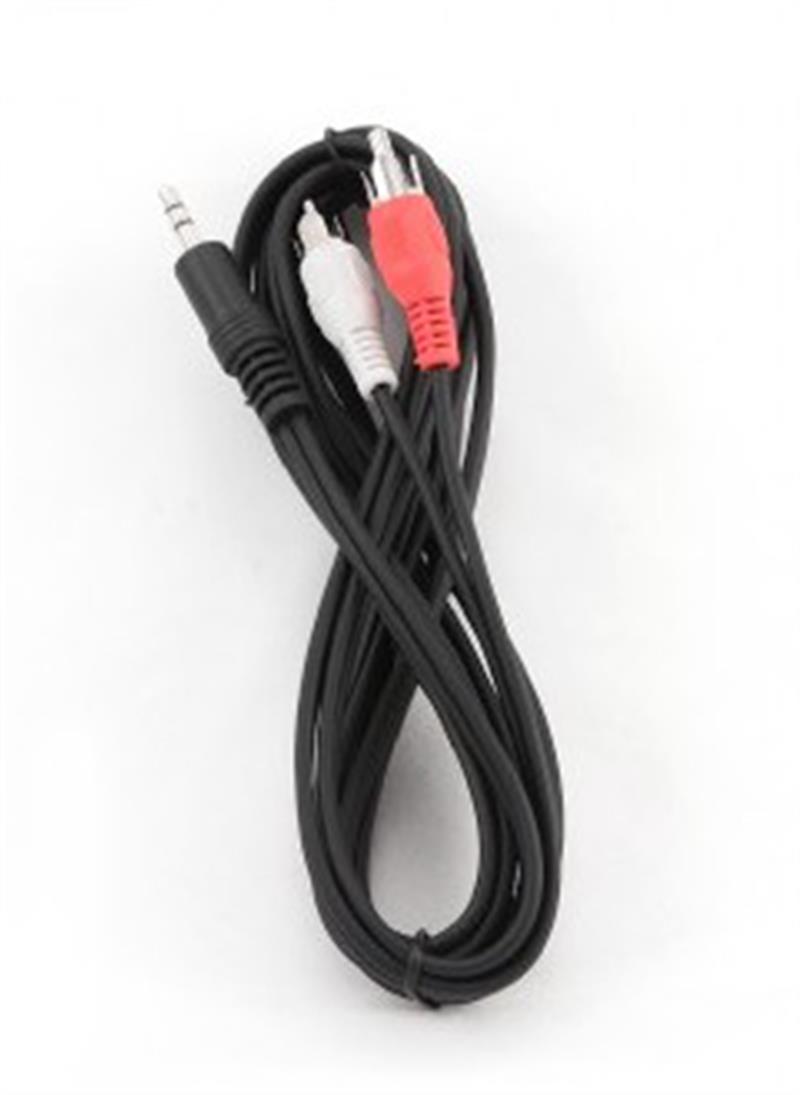 3 5 mm stereo naar RCA plug kabel 2 5 m