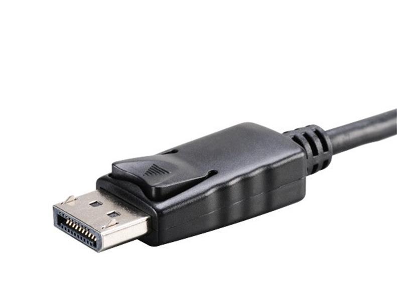 Akasa DisplayPort to DVI active converter 20cm for DP and DP *DPM *DVIF