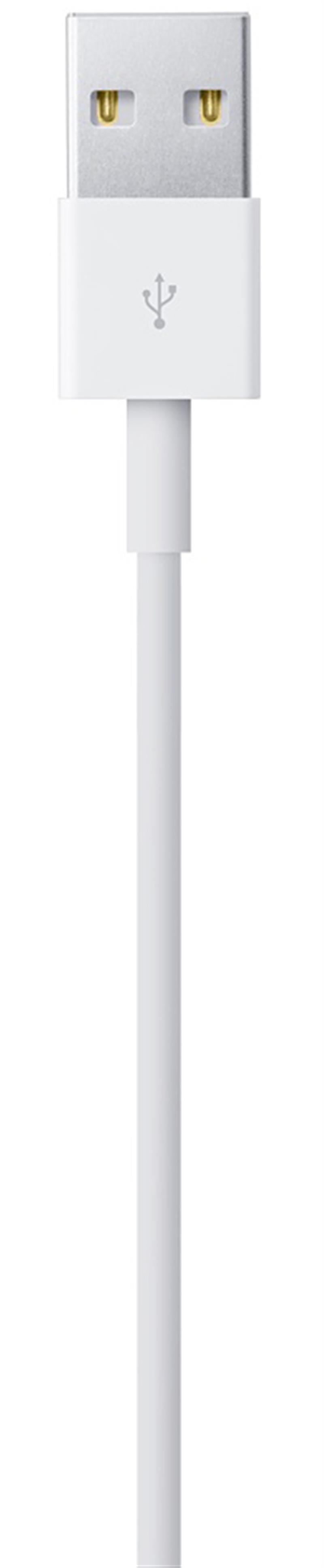  Apple Lightning to USB Cable 2m White