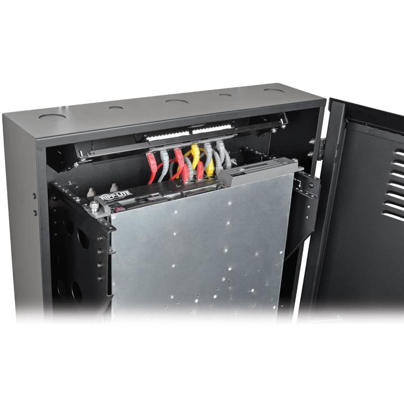 Tripp Lite SRWF2U36 rack 2U Wandrek Zwart