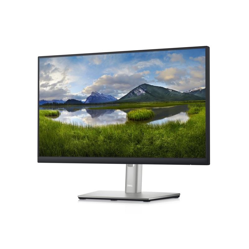 DELL P2222H 54,6 cm (21.5"") 1920 x 1080 Pixels Full HD LCD Zwart, Zilver