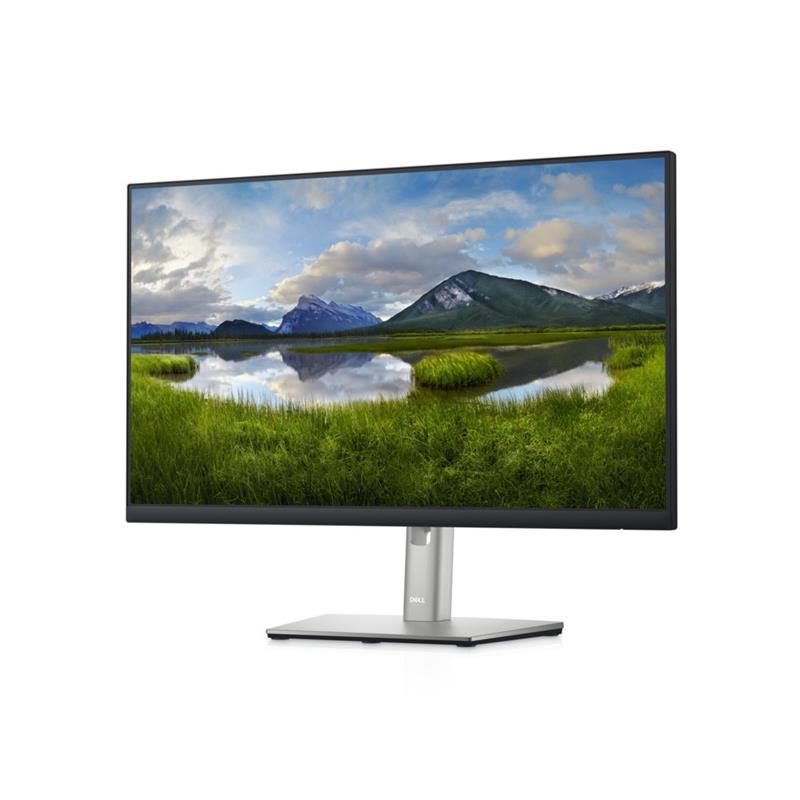 DELL P2422HE 60,5 cm (23.8"") 1920 x 1080 Pixels Full HD LCD Zwart