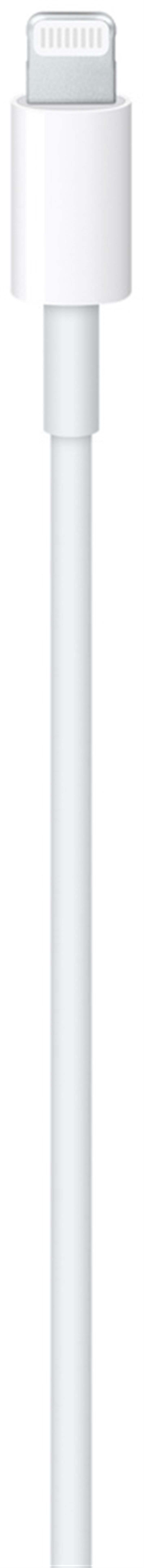  Apple USB-C to Lightning Cable 1m White