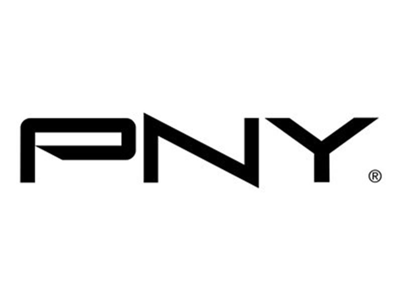 PNY QSP-MINI DP to HDMI V2 Cable