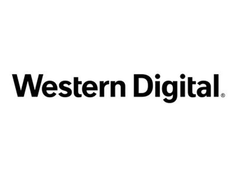 WESTERN DIGITAL Ultrastar HC550 16TB ISE