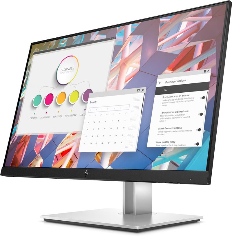 HP E24 G4 FHD Monitor