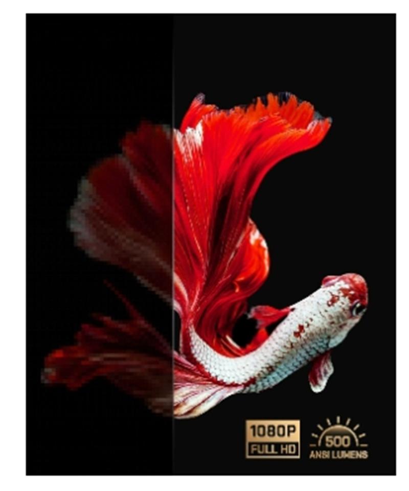 Nebula Vega beamer/projector Projector met normale projectieafstand 500 ANSI lumens 1080p (1920x1080) Zwart