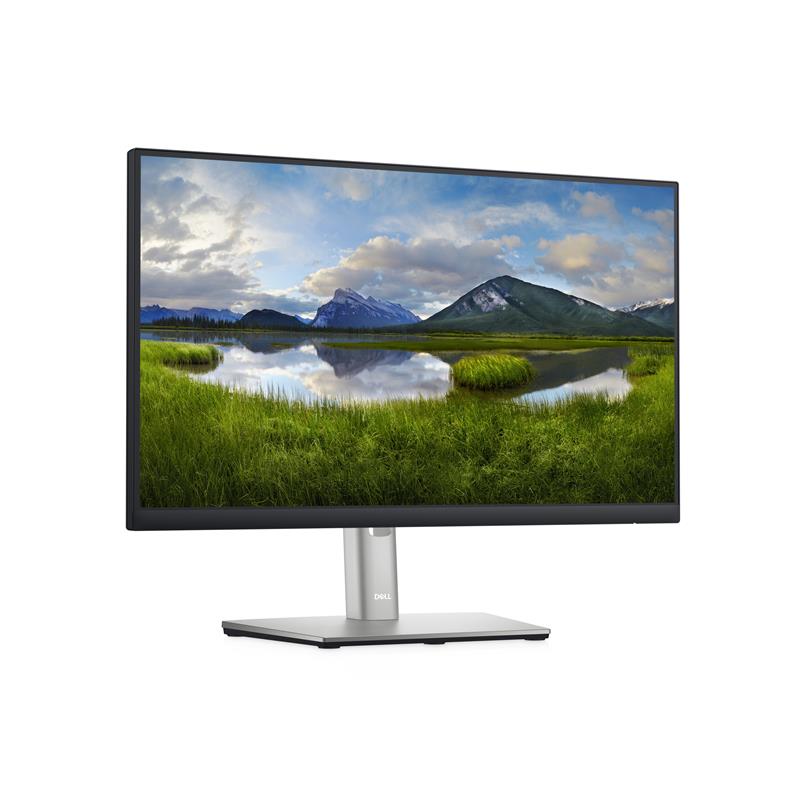 DELL P2222H 54,6 cm (21.5"") 1920 x 1080 Pixels Full HD LCD Zwart, Zilver