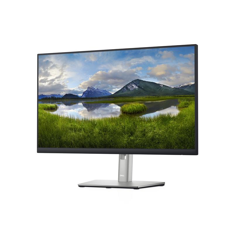 DELL P2422H 60,5 cm (23.8"") 1920 x 1080 Pixels Full HD LCD Zwart