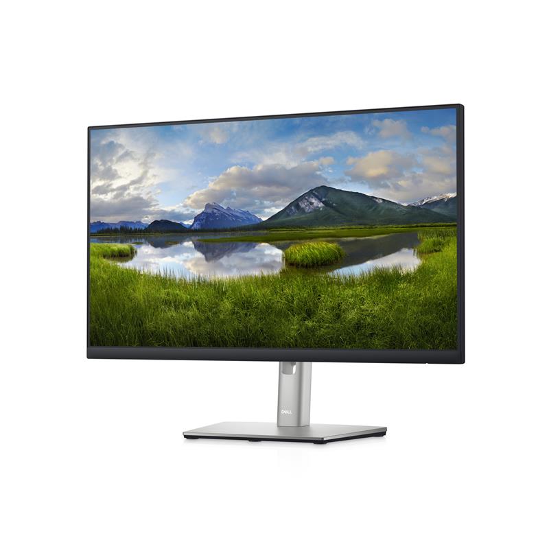 DELL P2422HE 60,5 cm (23.8"") 1920 x 1080 Pixels Full HD LCD Zwart