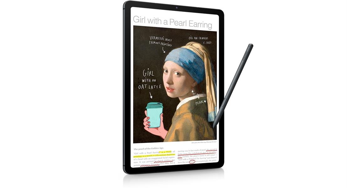 Samsung Galaxy Tab S6 Lite (2022) LTE 4G LTE-TDD & LTE-FDD 64 GB 26,4 cm (10.4"") 4 GB Wi-Fi 5 (802.11ac) Grijs