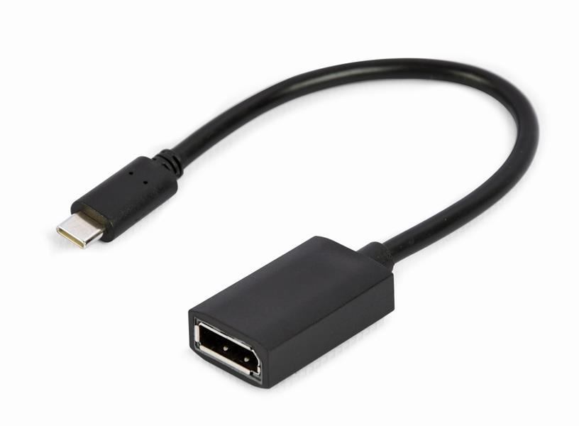 USB-C naar DisplayPort adapter 4K 15 cm zwart