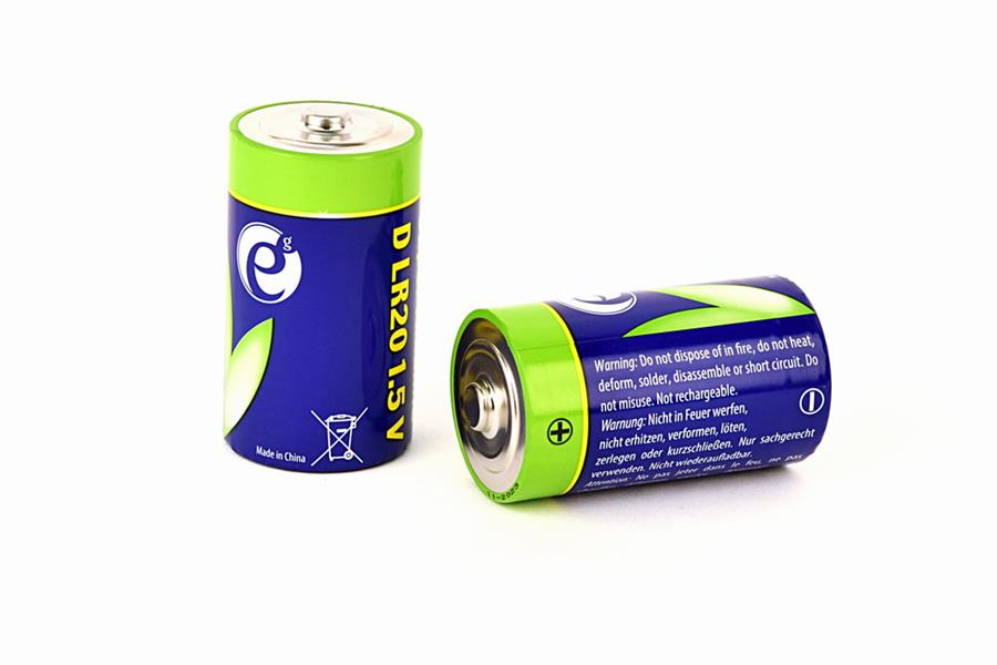 Alkaline D-cell batterij 2 stuks