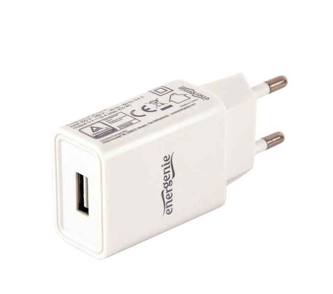 Universal USB charger 2 1 A white