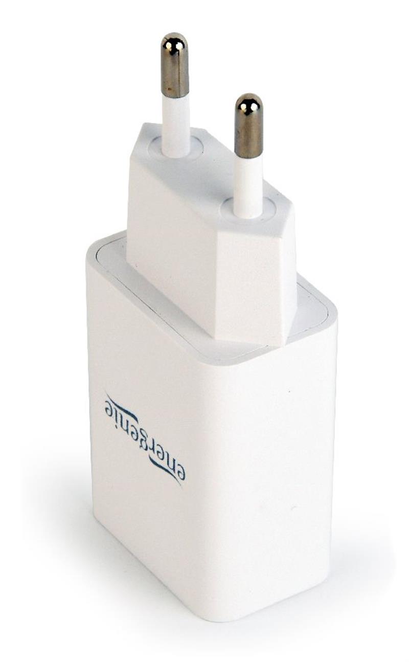 Universal USB charger 2 1 A white