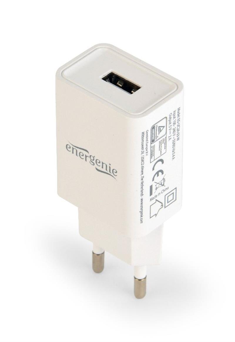 Universal USB charger 2 1 A white