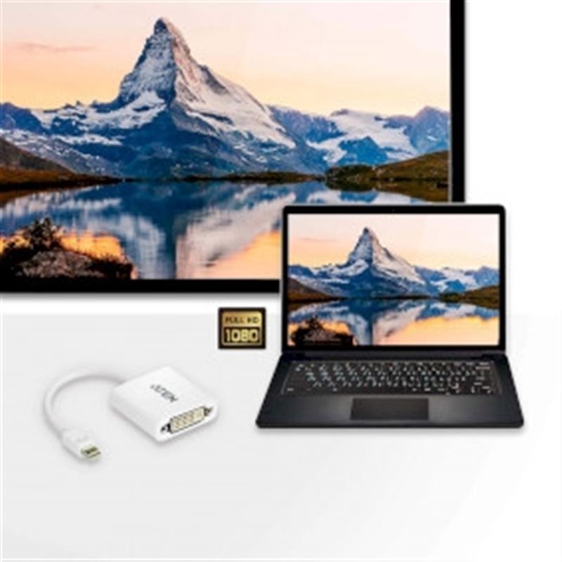 ATEN Mini DisplayPort naar DVI-adapter