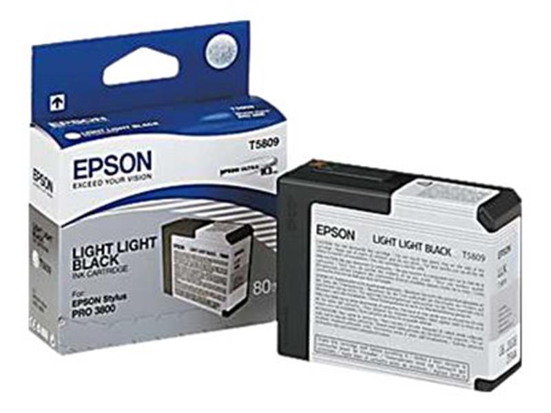 Epson inktpatroon Light Light Black T580900