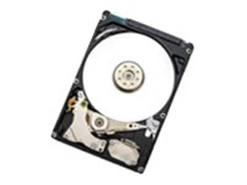 WESTERN DIGITAL Endurastar J4K320 250GB