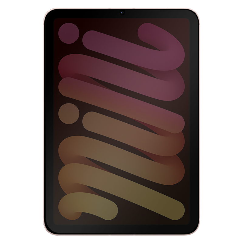 iPad Mini 2022 6th Gen - Privacy Screenprotector Tempered Glass