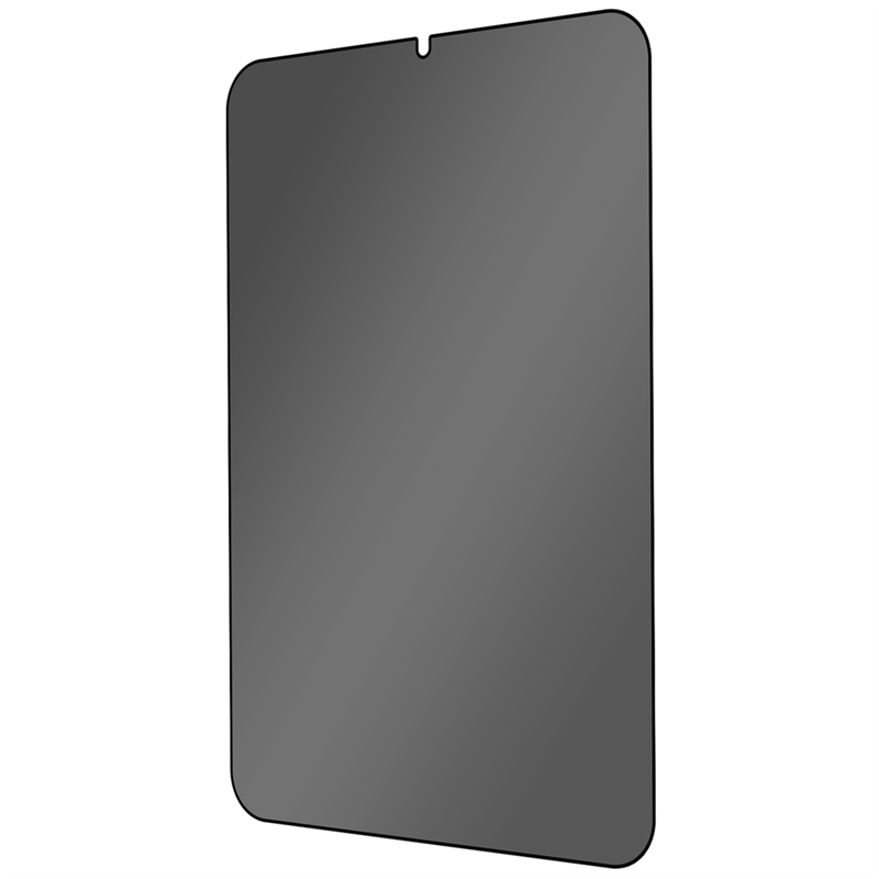 iPad Mini 2022 6th Gen - Privacy Screenprotector Tempered Glass
